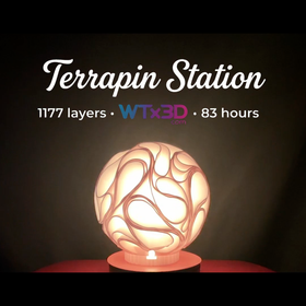 Lamp Collection