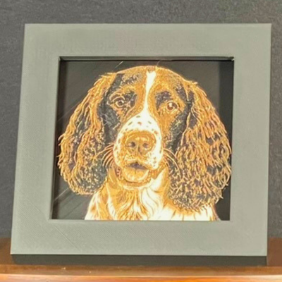 English Springer Spaniel Framed Layered 3D Art