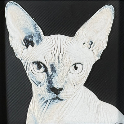 Framed 3D layered art piece featuring a highly detailed, textured portrait of a Sphynx cat with large oversized ears, characteristic wrinkled skin, and alert, expressive eyes.