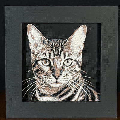 Framed 3D layered art piece featuring a highly detailed, textured portrait of a Tabby cat with distinctive brown and black striped fur and alert, expressive eyes.