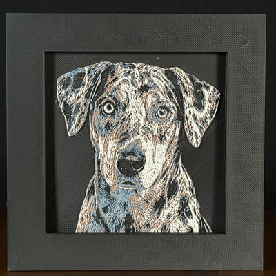 Framed 3D layered art piece featuring a highly detailed, textured portrait of a Catahoula Leopard Dog with a distinctive merle coat pattern and intense, expressive eyes.
