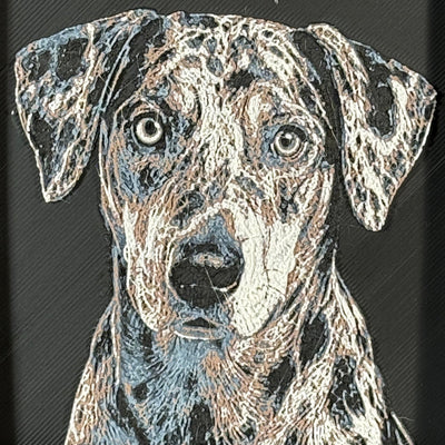 Framed 3D layered art piece featuring a highly detailed, textured portrait of a Catahoula Leopard Dog with a distinctive merle coat pattern and intense, expressive eyes.