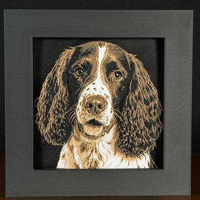 Framed 3D layered art piece featuring a highly detailed, textured portrait of a Cocker Spaniel dog with long curly ears, expressive eyes, and a brown and white coat pattern.