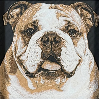 Framed 3D layered art piece featuring a highly detailed, textured portrait of an English Bulldog dog with a characterful wrinkled face, expressive eyes, and a brown and white coat pattern.