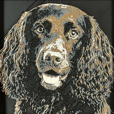 Framed 3D layered art piece featuring a highly detailed, textured portrait of an English Springer Spaniel dog with long curly ears, expressive eyes, and a liver and white coat pattern.