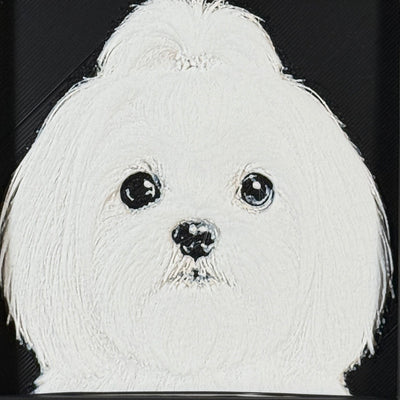 Framed 3D layered art piece featuring a highly detailed, textured portrait of a Maltese dog with dark expressive eyes, a fluffy topknot, and a classic white coat.