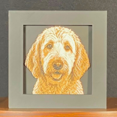 Golden Doodle Framed Layered 3D Art