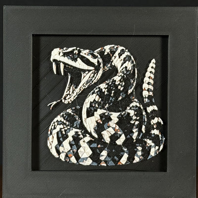 Geometric rattlesnake layered art in Heritage palette in a black frame