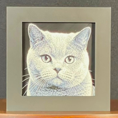 Russian Blue Cat Framed Layered 3D Art