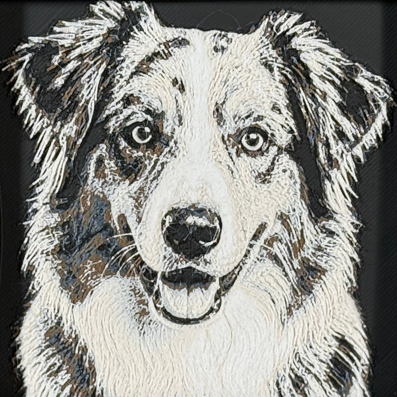 Framed 3D layered art piece featuring a highly detailed, textured portrait of an Australian Shepherd dog with alert eyes.