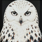 Framed geometric owl layered 3D art piece featuring a stylized owl design in a classic Heritage monochrome grey and white palette.