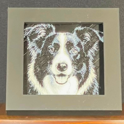 Border Collie Framed Layered 3D Art