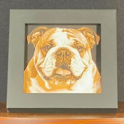 Bulldog Framed Layered 3D Art