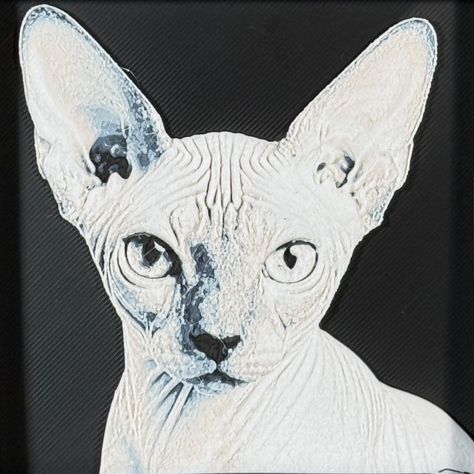 Framed 3D layered art piece featuring a highly detailed, textured portrait of a Sphynx cat with large oversized ears, characteristic wrinkled skin, and alert, expressive eyes.