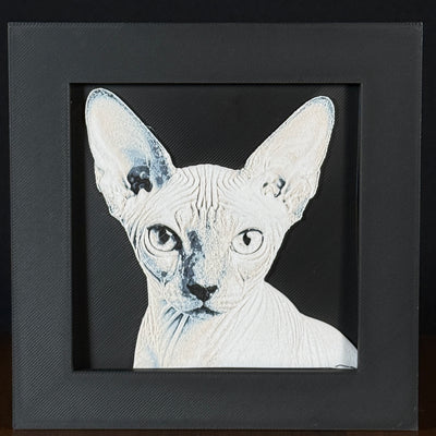 Framed 3D layered art piece featuring a highly detailed, textured portrait of a Sphynx cat with large oversized ears, characteristic wrinkled skin, and alert, expressive eyes.