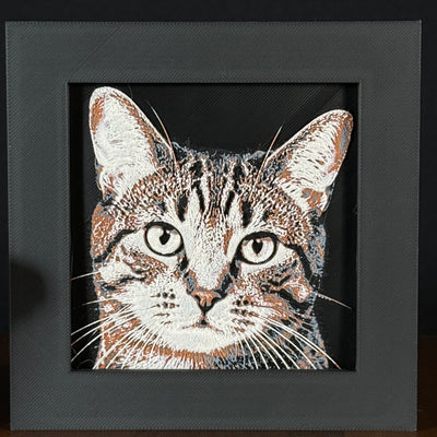 Framed 3D layered art piece featuring a highly detailed, textured portrait of a Tabby cat with distinctive brown and black striped fur and alert, expressive eyes.