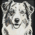 Framed 3D layered art piece featuring a highly detailed, textured portrait of an Australian Shepherd dog with alert eyes.