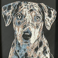 Framed 3D layered art piece featuring a highly detailed, textured portrait of a Catahoula Leopard Dog with a distinctive merle coat pattern and intense, expressive eyes.