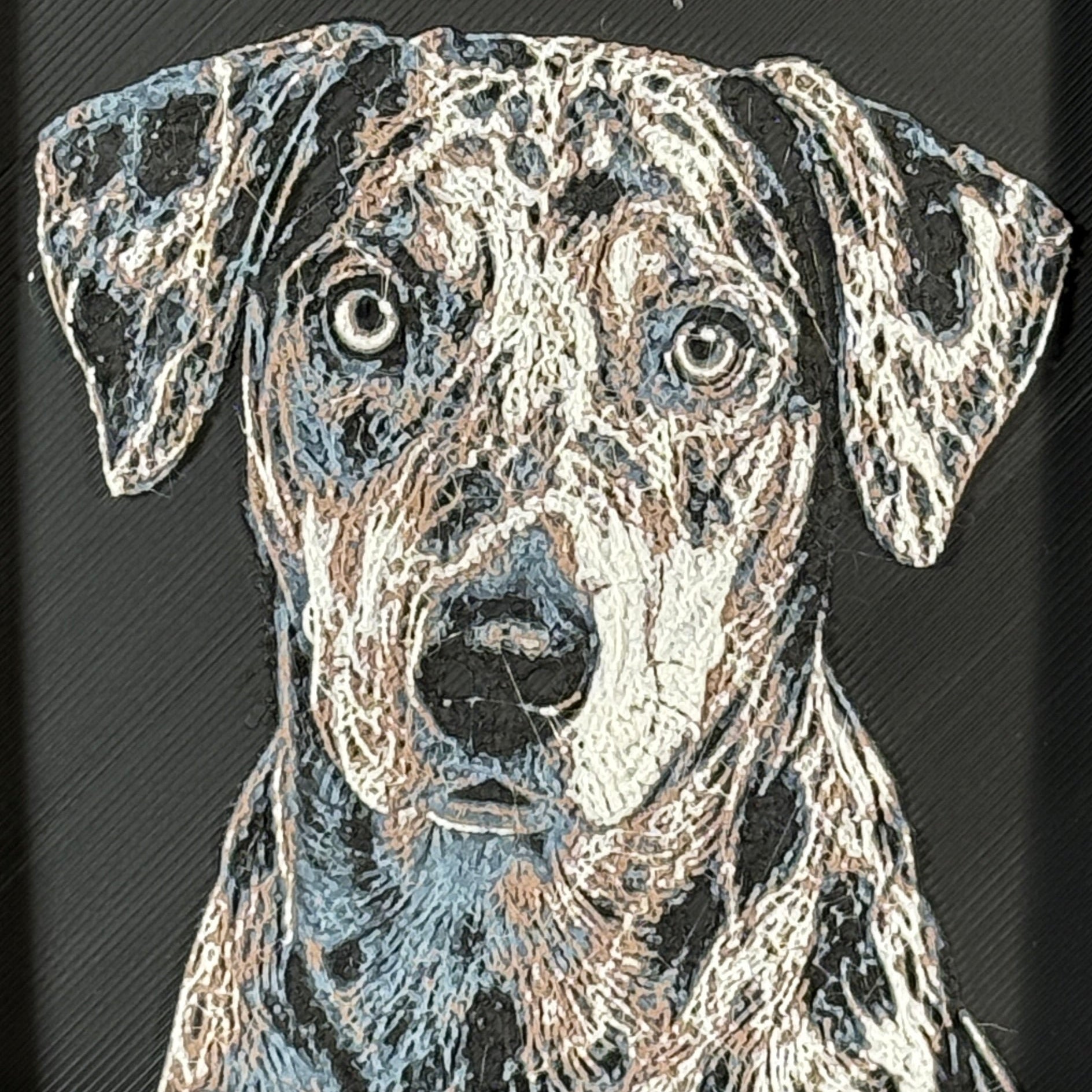 Framed 3D layered art piece featuring a highly detailed, textured portrait of a Catahoula Leopard Dog with a distinctive merle coat pattern and intense, expressive eyes.