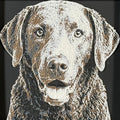 Framed 3D layered art piece featuring a highly detailed, textured portrait of a Chesapeake Bay Retriever dog with a distinctive wavy brown coat and bright, expressive eyes.