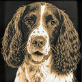 Framed 3D layered art piece featuring a highly detailed, textured portrait of a Cocker Spaniel dog with long curly ears, expressive eyes, and a brown and white coat pattern.