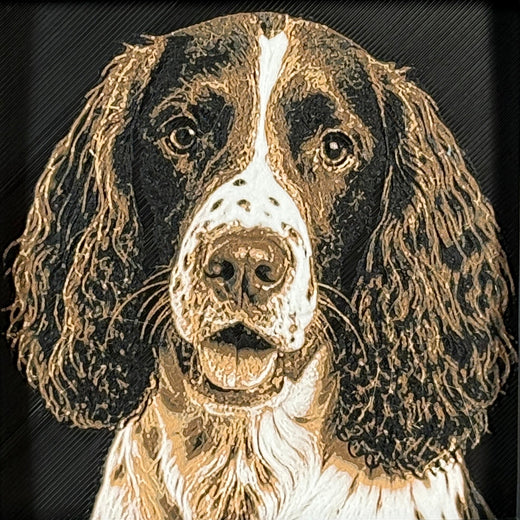 Pet Portraits