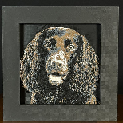 Framed 3D layered art piece featuring a highly detailed, textured portrait of an English Springer Spaniel dog with long curly ears, expressive eyes, and a liver and white coat pattern.
