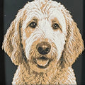 Framed 3D layered art piece featuring a highly detailed, textured portrait of a Goldendoodle dog with a curly golden coat, floppy ears, and alert, expressive eyes.