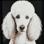 Framed 3D layered art piece featuring a highly detailed, textured portrait of a Poodle dog with long curly ears, alert eyes, and a classic white coat.