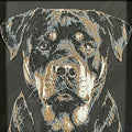 Framed 3D layered art piece featuring a highly detailed, textured portrait of a Rottweiler dog with floppy ears, alert eyes, and a classic black and tan coat pattern.