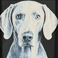 Framed 3D layered art piece featuring a highly detailed, textured portrait of a Weimaraner dog with floppy ears, alert eyes, and a sleek grey coat.