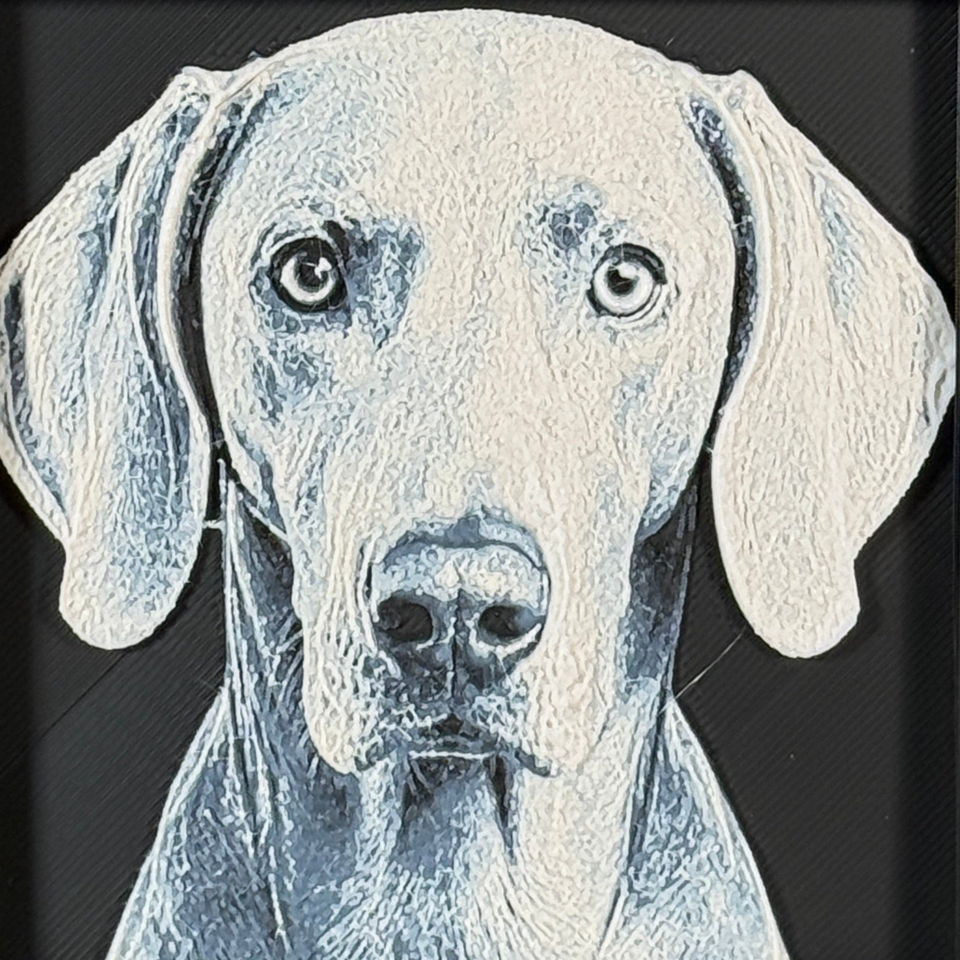 Framed 3D layered art piece featuring a highly detailed, textured portrait of a Weimaraner dog with floppy ears, alert eyes, and a sleek grey coat.