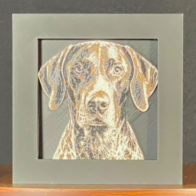 German Shorthaired Pointer Framed Layered 3D Art
