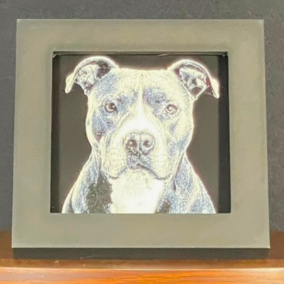 Pitbull Framed Layered 3D Art
