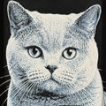 Framed 3D layered art piece featuring a highly detailed, textured grayscale portrait of a beautiful British Shorthair cat with wide, expressive eyes and finely defined fur patterns.