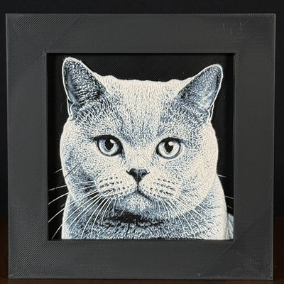 Framed 3D layered art piece featuring a highly detailed, textured grayscale portrait of a beautiful British Shorthair cat with wide, expressive eyes and finely defined fur patterns.