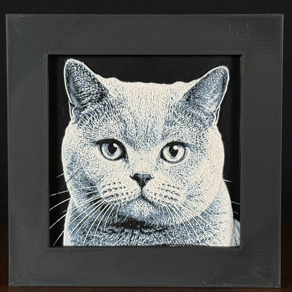 Framed 3D layered art piece featuring a highly detailed, textured grayscale portrait of a beautiful British Shorthair cat with wide, expressive eyes and finely defined fur patterns.