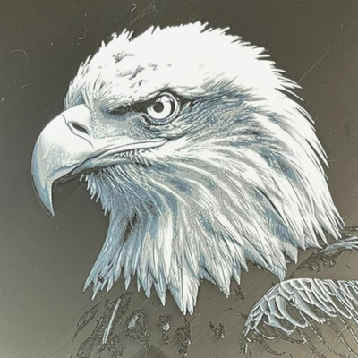 Grayscale Eagle Portrait Framed Layered 3D Art