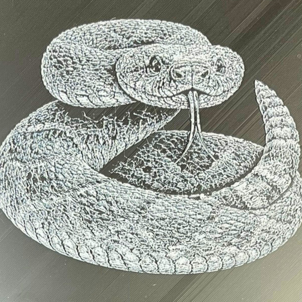 Rattlesnake Framed Layered 3D Art
