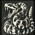 Geometric rattlesnake layered art in Heritage palette in a black frame