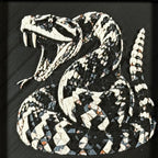 Geometric rattlesnake layered art in Heritage palette in a black frame