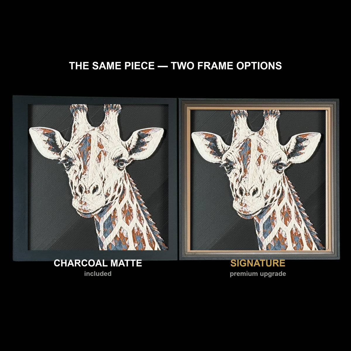 The same WTx3D artwork shown in both frame options, Charcoal Matte beside the Signature premium frame