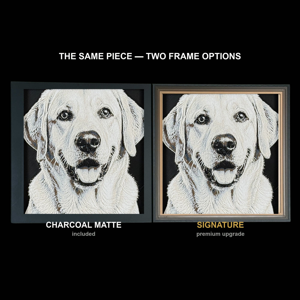 The same WTx3D artwork shown in both frame options, Charcoal Matte beside the Signature premium frame