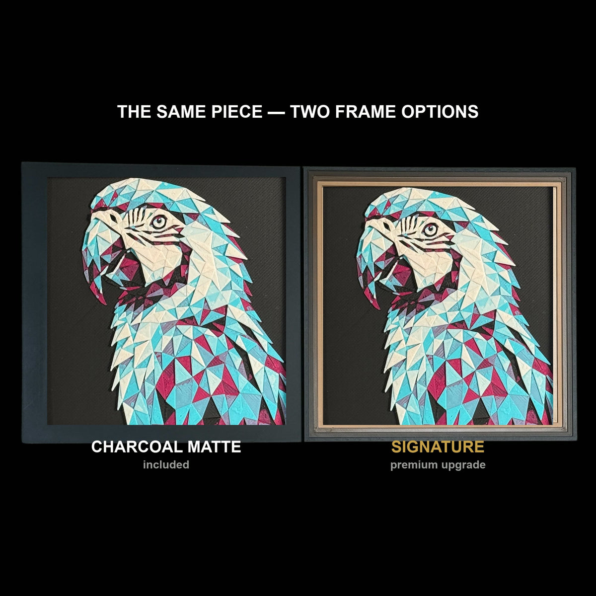 The same WTx3D artwork shown in both frame options, Charcoal Matte beside the Signature premium frame