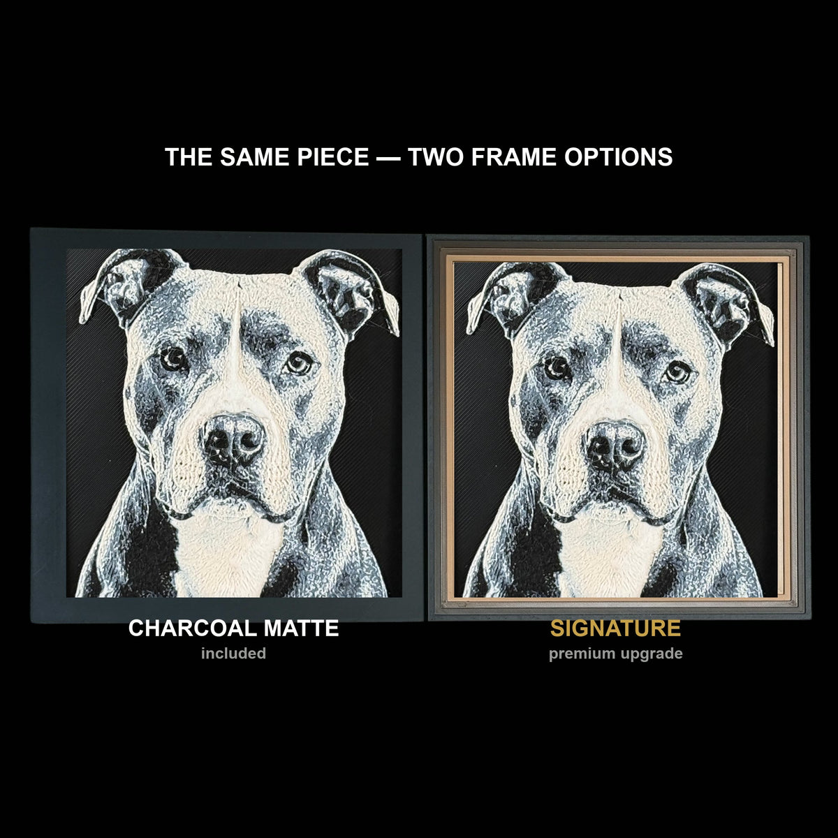 The same WTx3D artwork shown in both frame options, Charcoal Matte beside the Signature premium frame