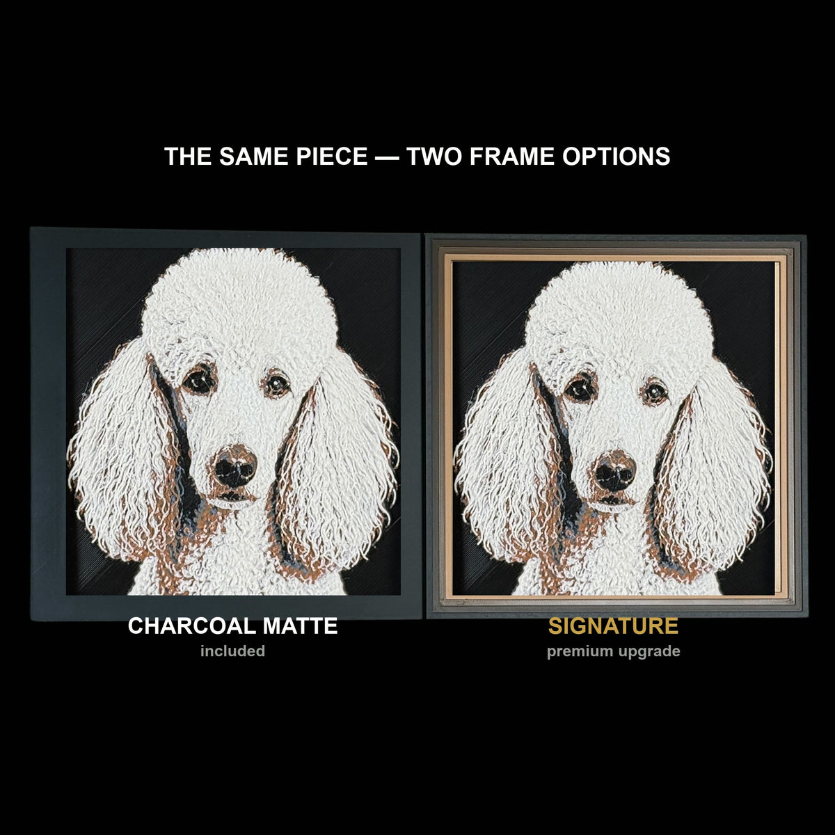 The same WTx3D artwork shown in both frame options, Charcoal Matte beside the Signature premium frame