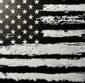 Framed 3D layered art piece featuring Black and white stylized American flag 
