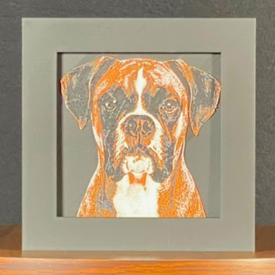 Boxer Framed Layered 3D Art