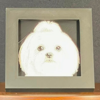 Maltese Framed Layered 3D Art