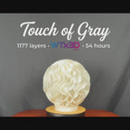Touch of Gray